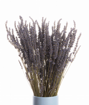 Bouquet of dried lavender 80g